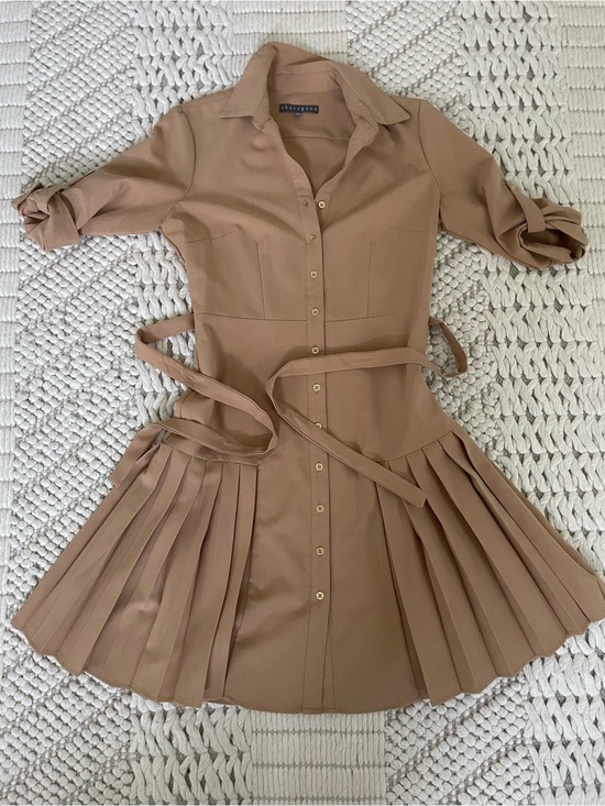 Sharagano Dresses & Skirts - Pleated Button-Front Shirt Dress